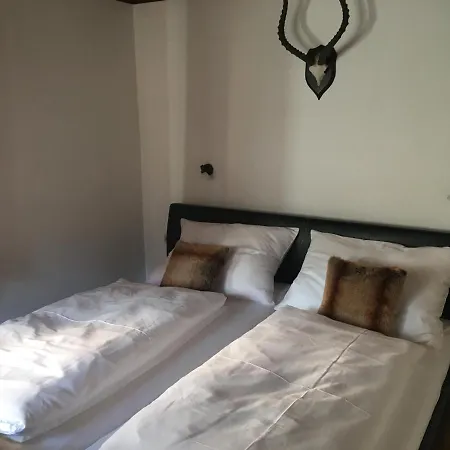 Toni Sailer Haus Appartement Kitzbühel